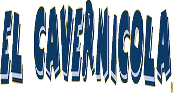 IRIA PRODUCCIONES, S. L.