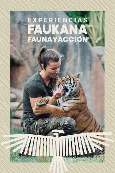 Visitas Faukana - Jornadas Salvajes en Los Santos de la Humosa